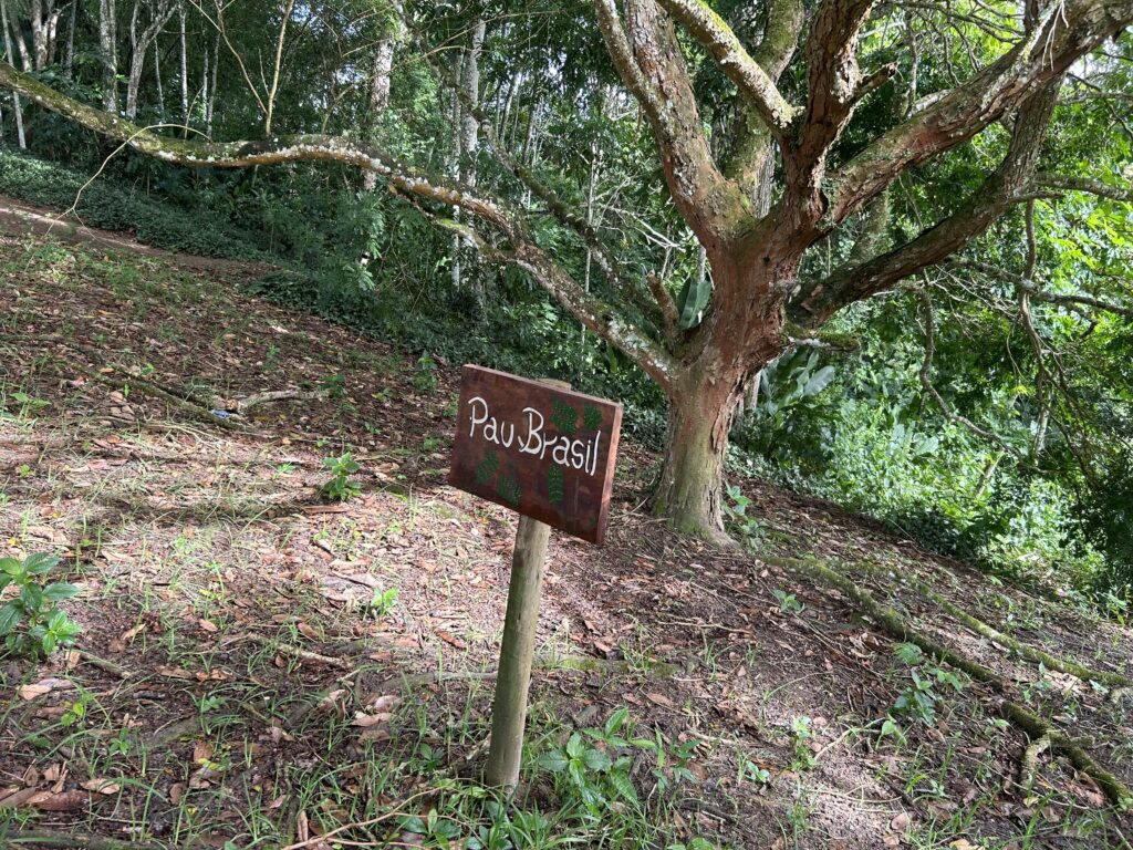 A sign for brazilwood at Fazenda Yrere in Bahia. Brazilwood is a tree up for extinction in Brazil, and is known for giving the country its name.